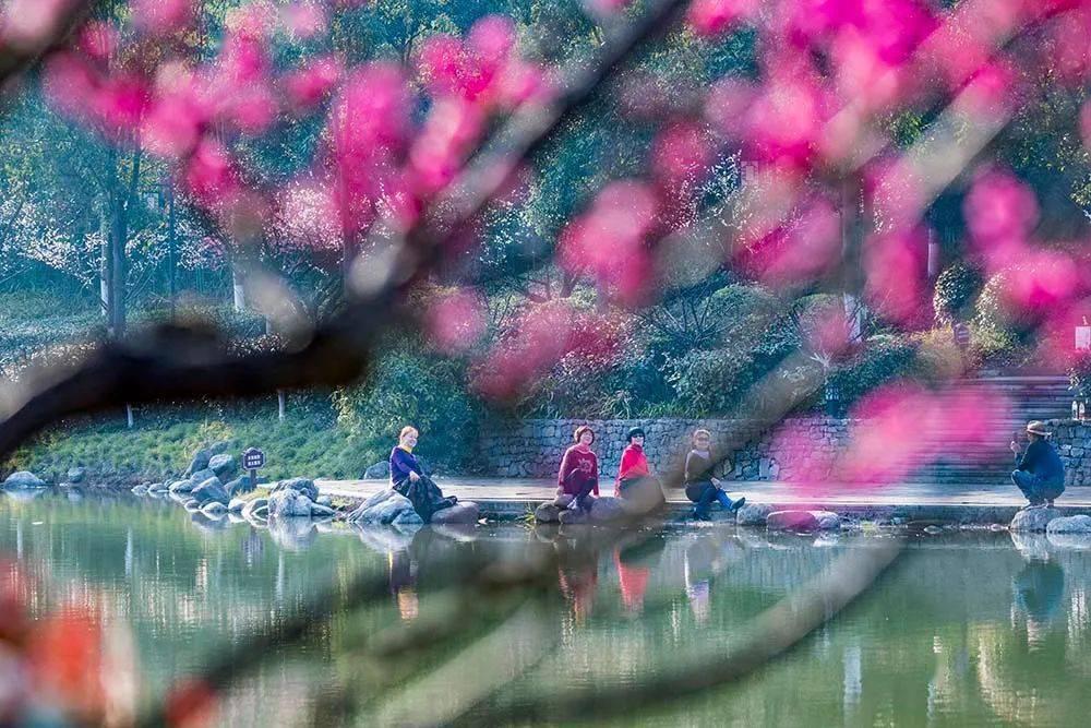 河北:十台大戏贺新春