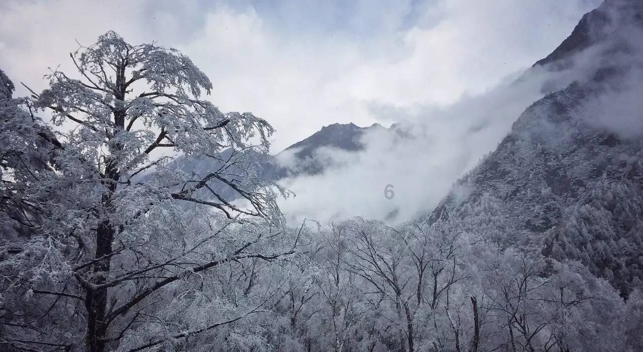 天空:热刺对瑞典中场伯格瓦尔感兴趣,有意截胡巴萨